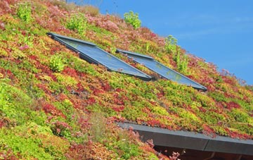 Rhilochan living roof systems