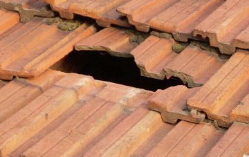 roof repair Rhilochan, Highland